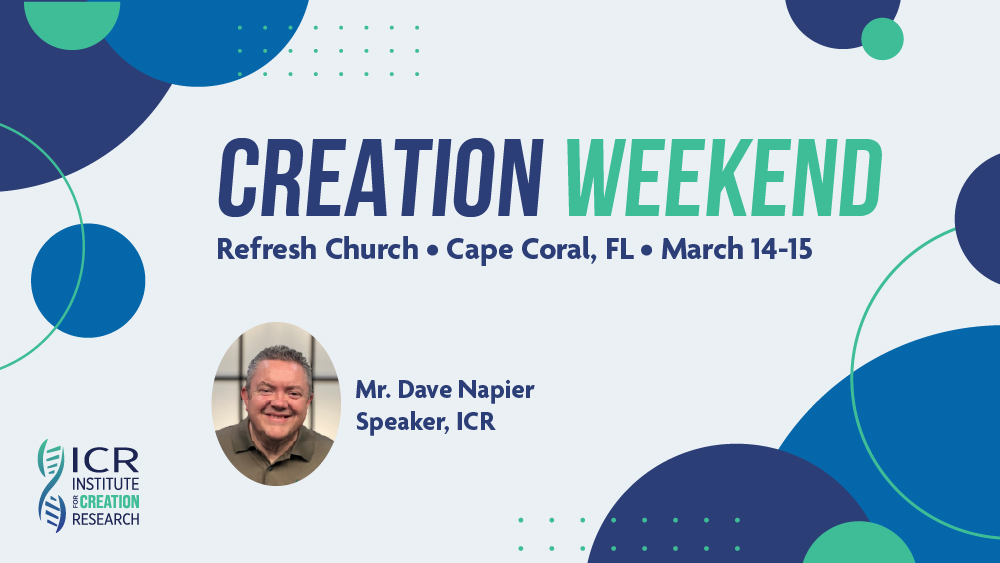 Creation Weekend